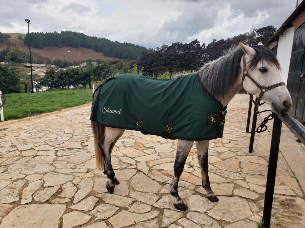 El mismo caballo con una manta Sereno Equino verde pino bordada con el nombre Shamal